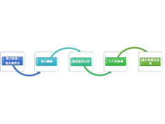 蛋白质定性：质谱鉴定（LC-MS/MS）