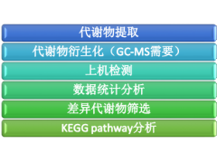 代谢组：LC/GC-MS