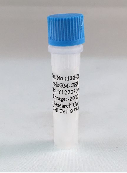 重组鼠粒细胞-巨噬细胞集落刺激因子