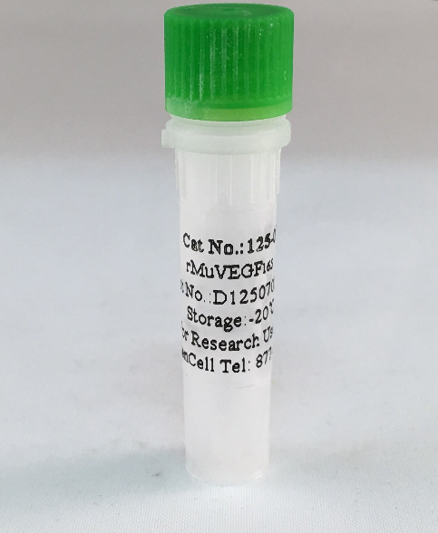 重组鼠血管内皮生长因子165